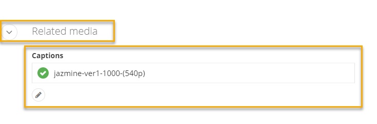 Image showing the related media section with a VTT captions file added.