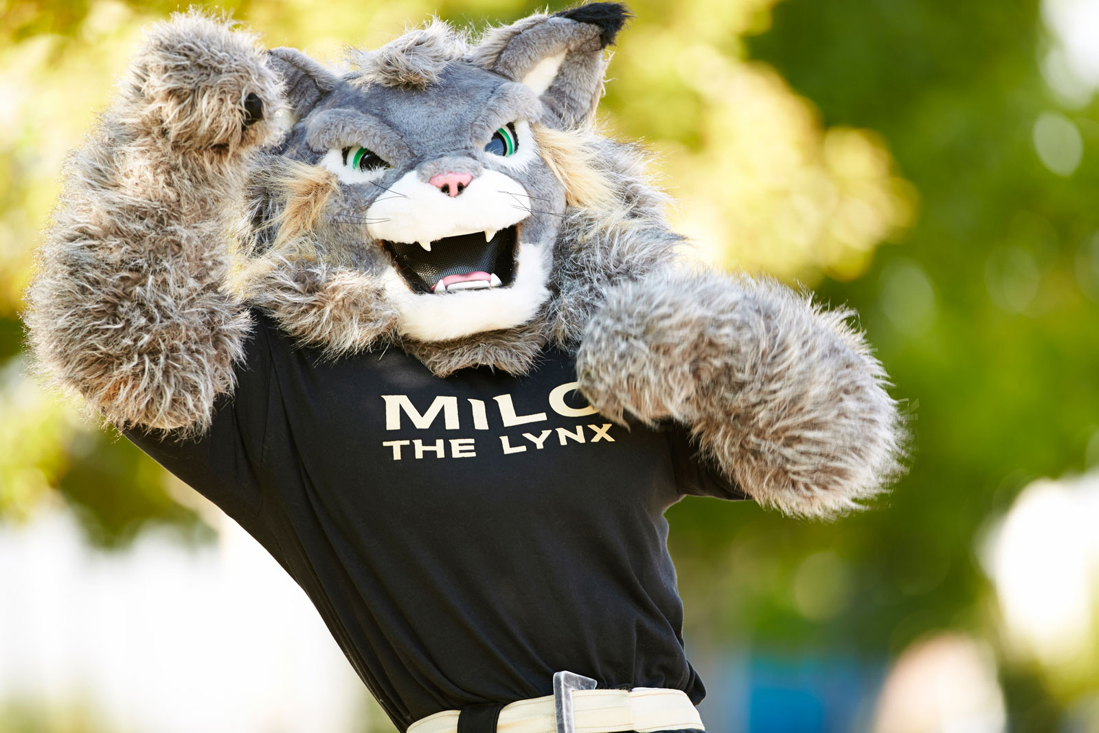 Spirit Identity CU Denver